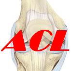 www.ACL